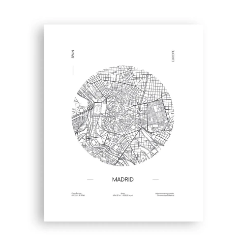 Poster - Anatomie van Madrid - 40x50 cm