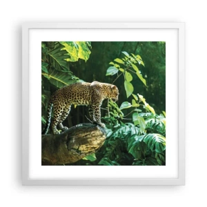 Poster in een witte lijst - Op jacht? - 40x40 cm