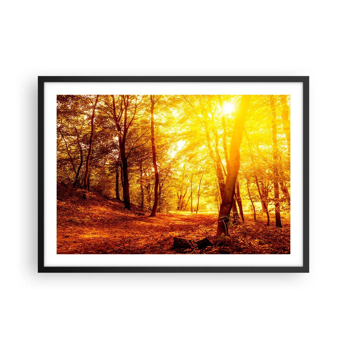 Poster in een zwarte lijst - Op weg naar de gouden open plek - 70x50 cm