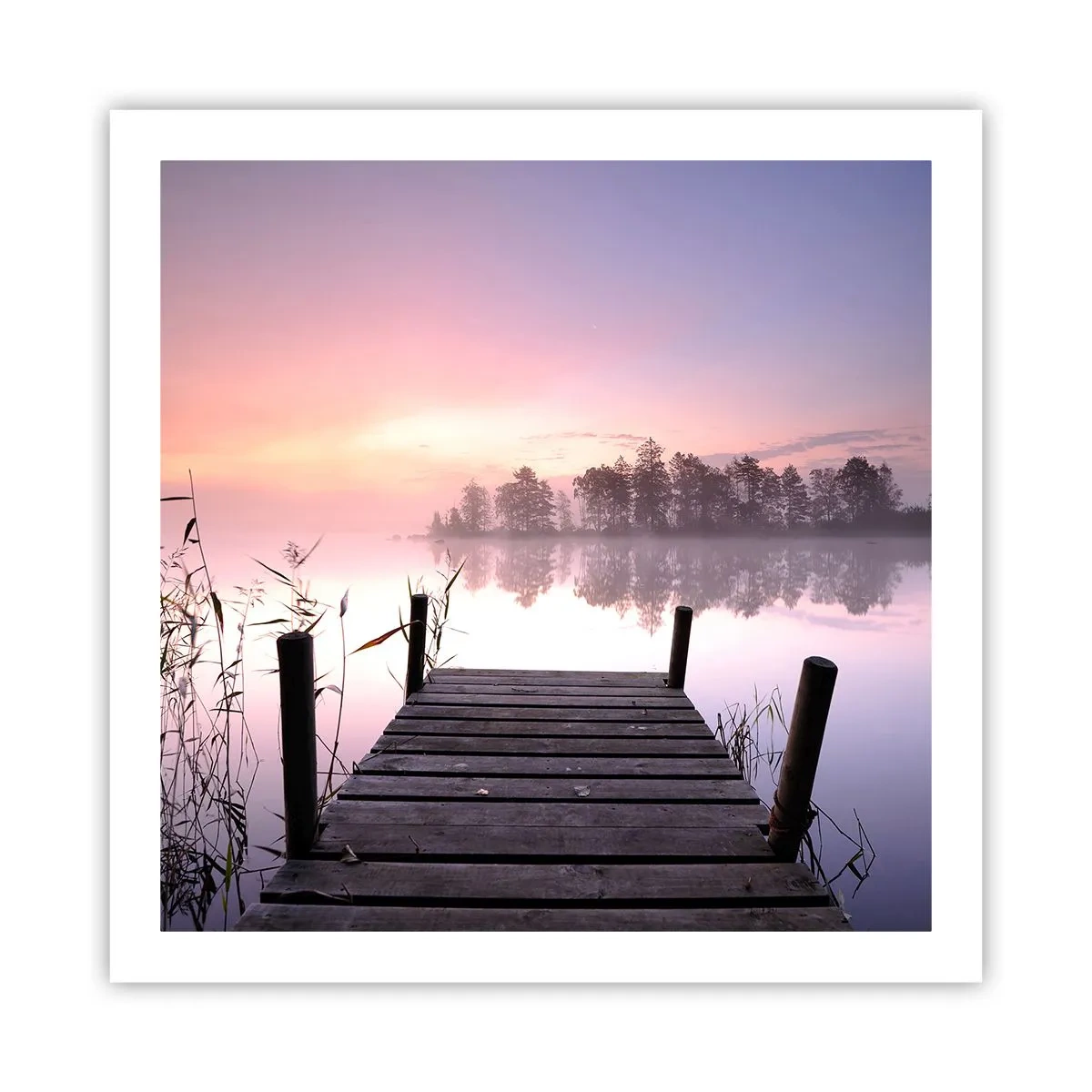 Poster - Van de lila mist... - 60x60 cm