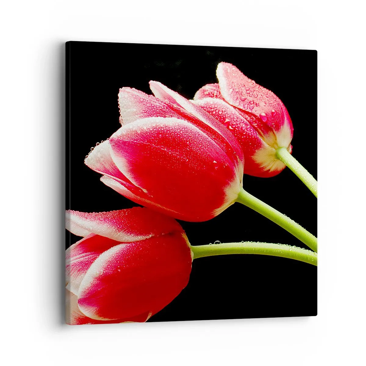 Schilderen op canvas - Een belofte van pure liefde - 40x40 cm