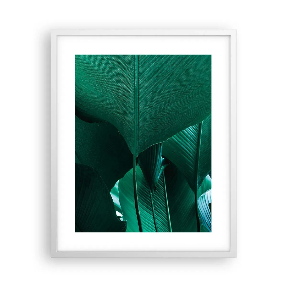 Poster in een witte lijst - Naar het licht gekeerd - 40x50 cm
