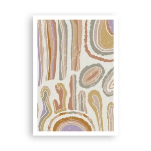 Poster - Kleurrijke doorsneden - 70x100 cm