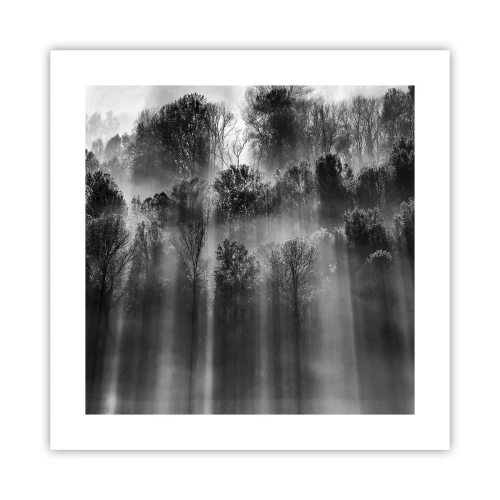 Poster - In stromen van licht - 40x40 cm