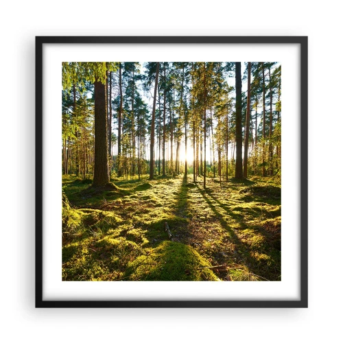Poster in een zwarte lijst - … Achter de zeven bossen - 50x50 cm
