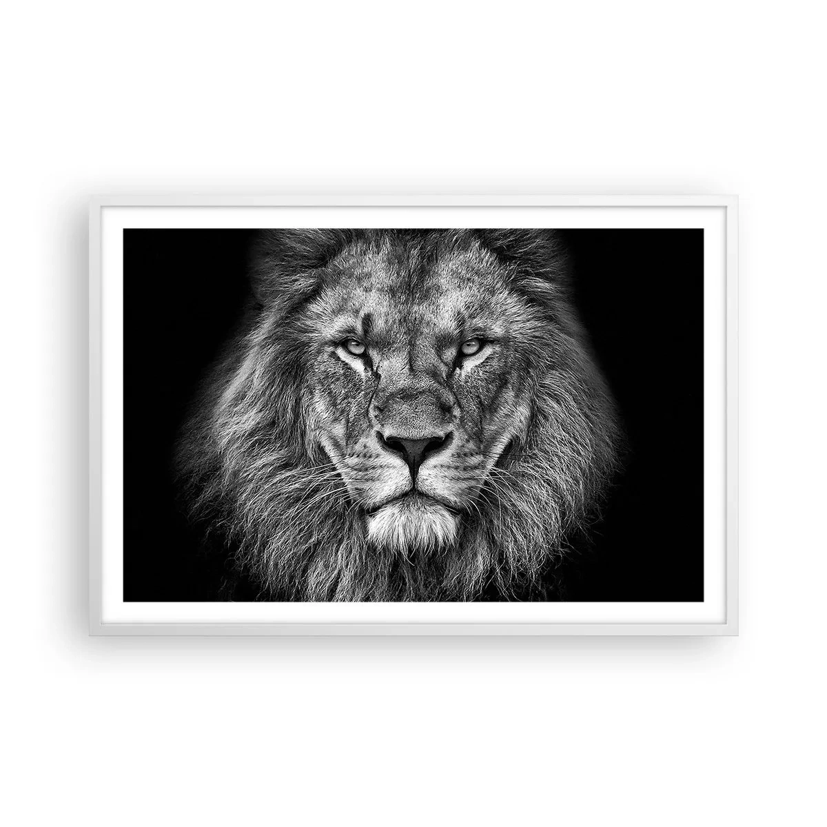 Poster in een witte lijst - In een kroningskleed - 91x61 cm