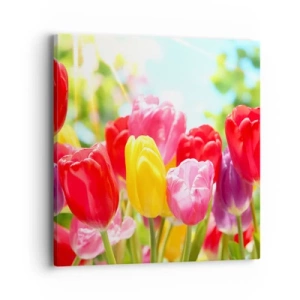 Schilderen op canvas - Dat zijn wij, de kleuren van mei! - 40x40 cm