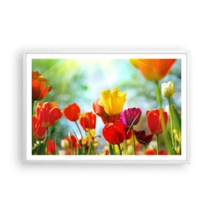 Poster in een witte lijst - Alle kleuren van de zon - 91x61 cm