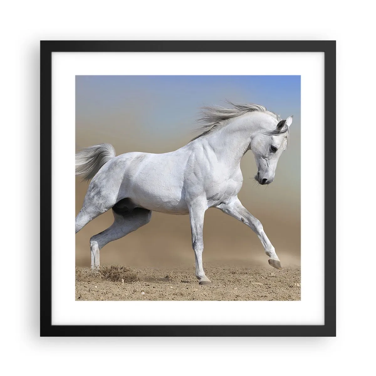 Poster in een zwarte lijst - Het mooiste Arabische sprookje - 40x40 cm