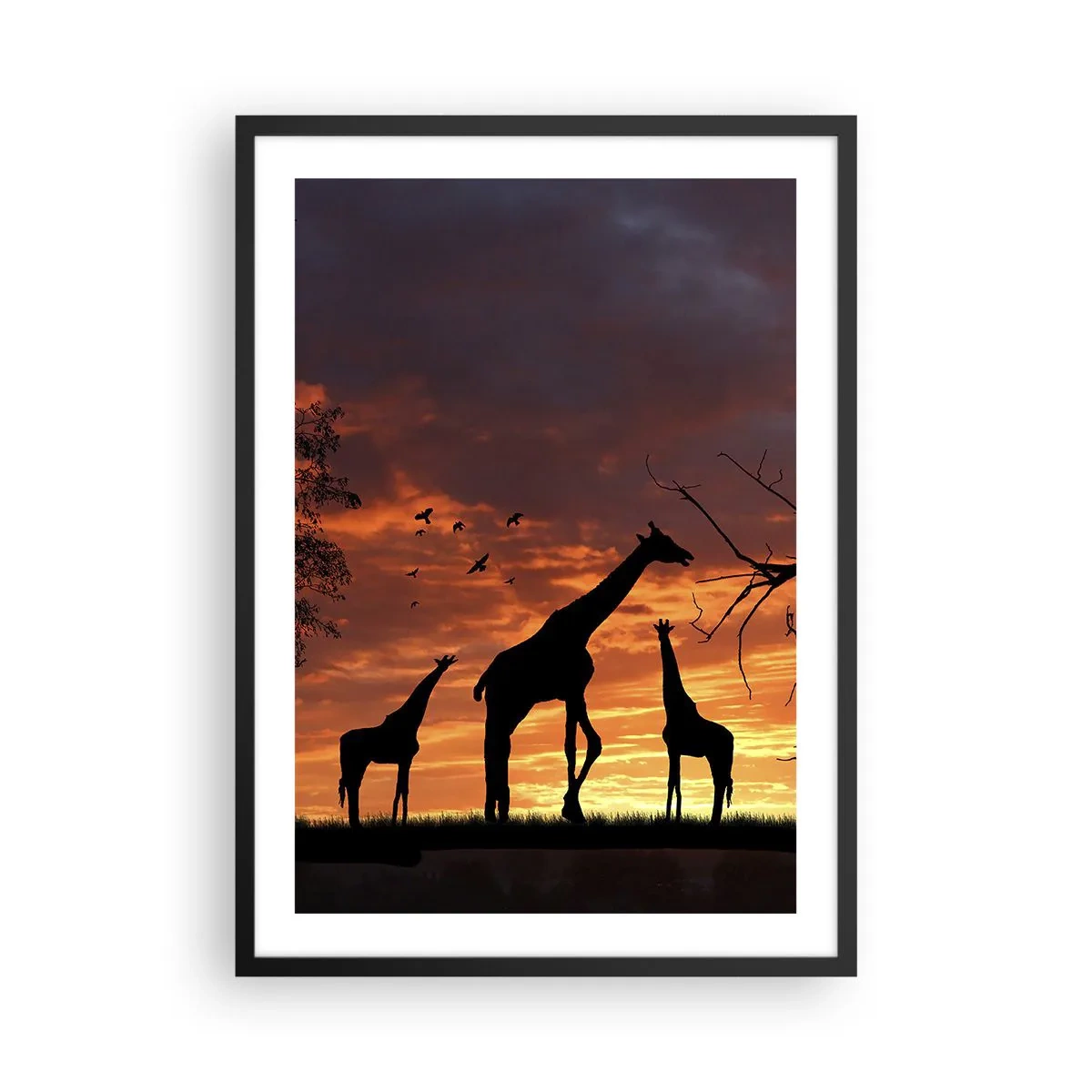 Poster in een zwarte lijst - Silhouetten van giraffen bij zonsondergang - 50x70cm - Een klein diner met je geliefden - Moderne wanddecoratie voor woonkamer en slaapkamer ARTTOR