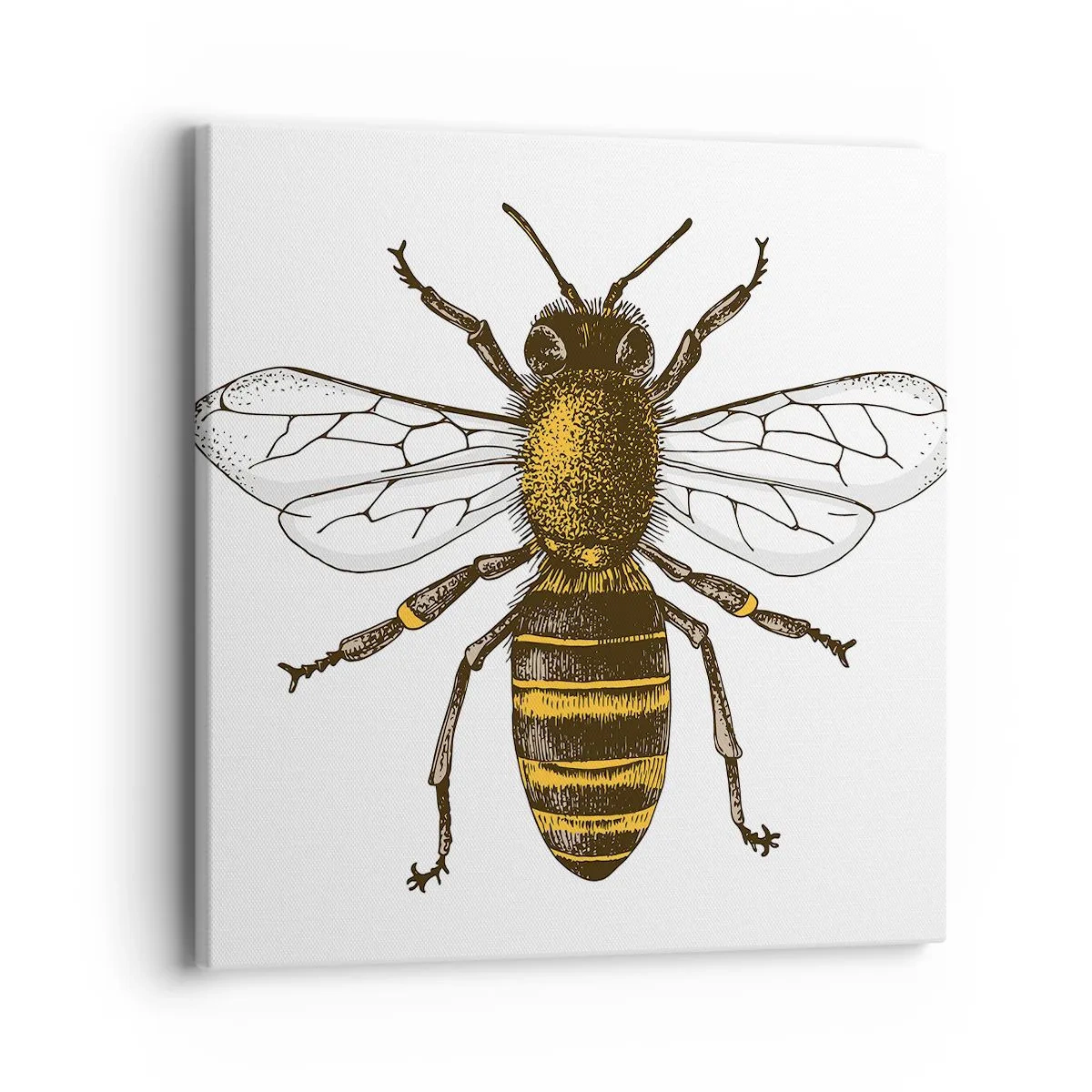 Schilderen op canvas - Mooi en goed - 40x40 cm