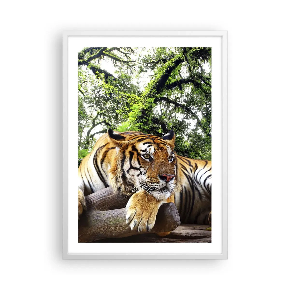 Poster in een witte lijst - Met vriendelijke groet - 50x70 cm