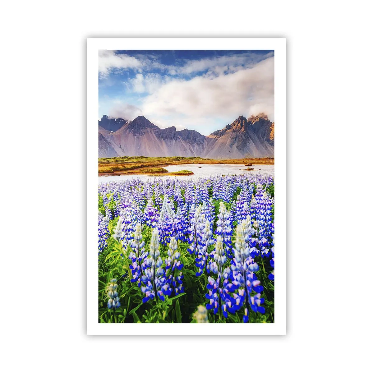 Poster - Kracht en soberheid naast zachtheid - 61x91 cm