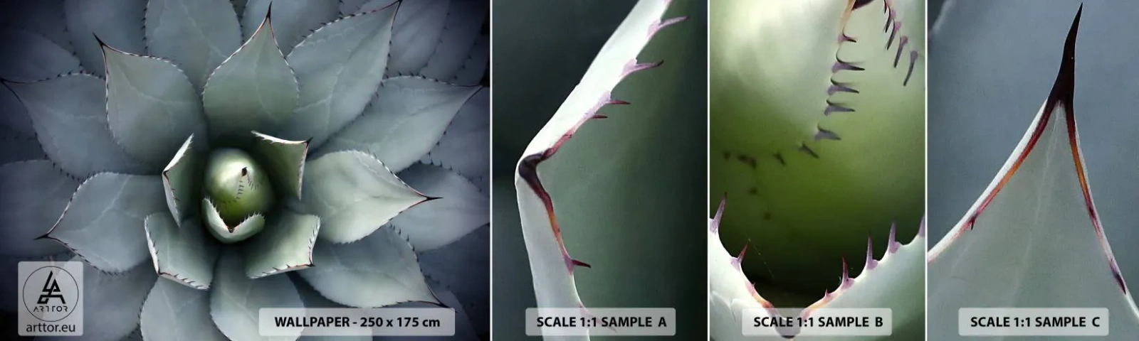 Fotobehang Monster Zelfklevend Deluxe Sticker - Het trekt aan en waarschuwt - Agave bloem, Agave, Exotisme - 100x30 cm