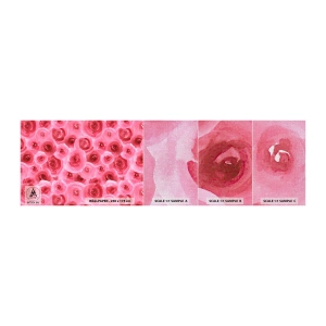 Fotobehang Monster Premium Canvas - Rozen onder en boven - Bloemen, Schoonheid, Romantiek - 100x30 cm