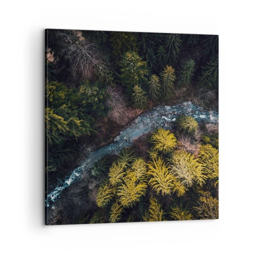 Schilderen op canvas - Snel, sneller en sneller - 50x50 cm