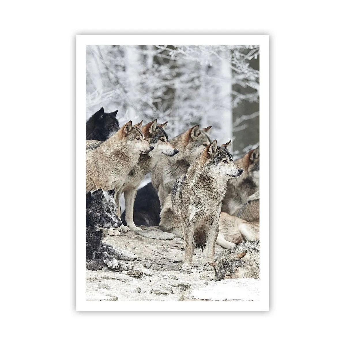 Poster - Familie en vrienden - 70x100 cm
