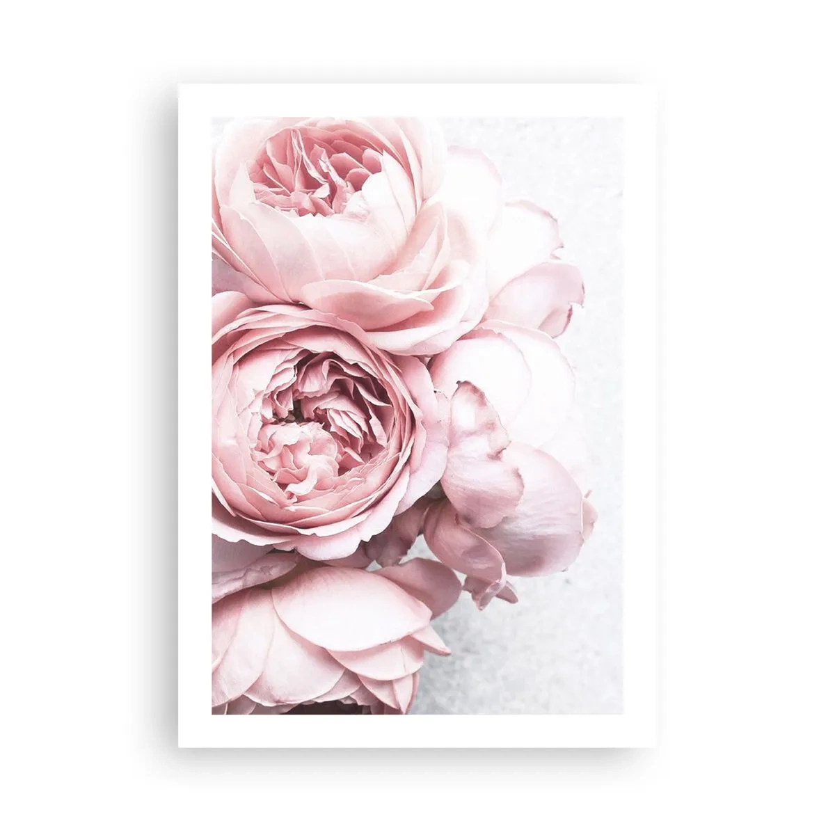 Poster - Voor romantici - 50x70 cm