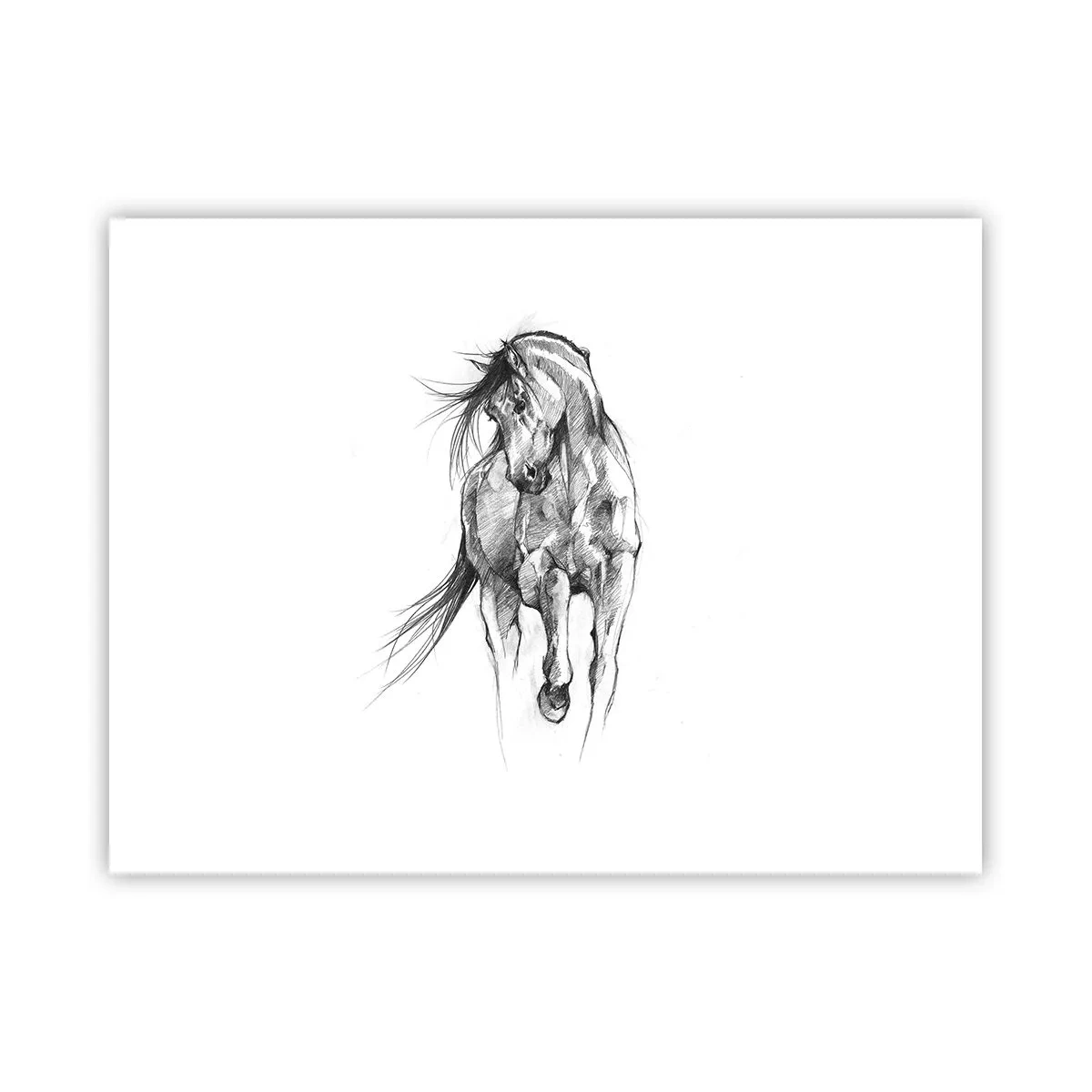Poster - In een sierlijke draf - 40x30 cm