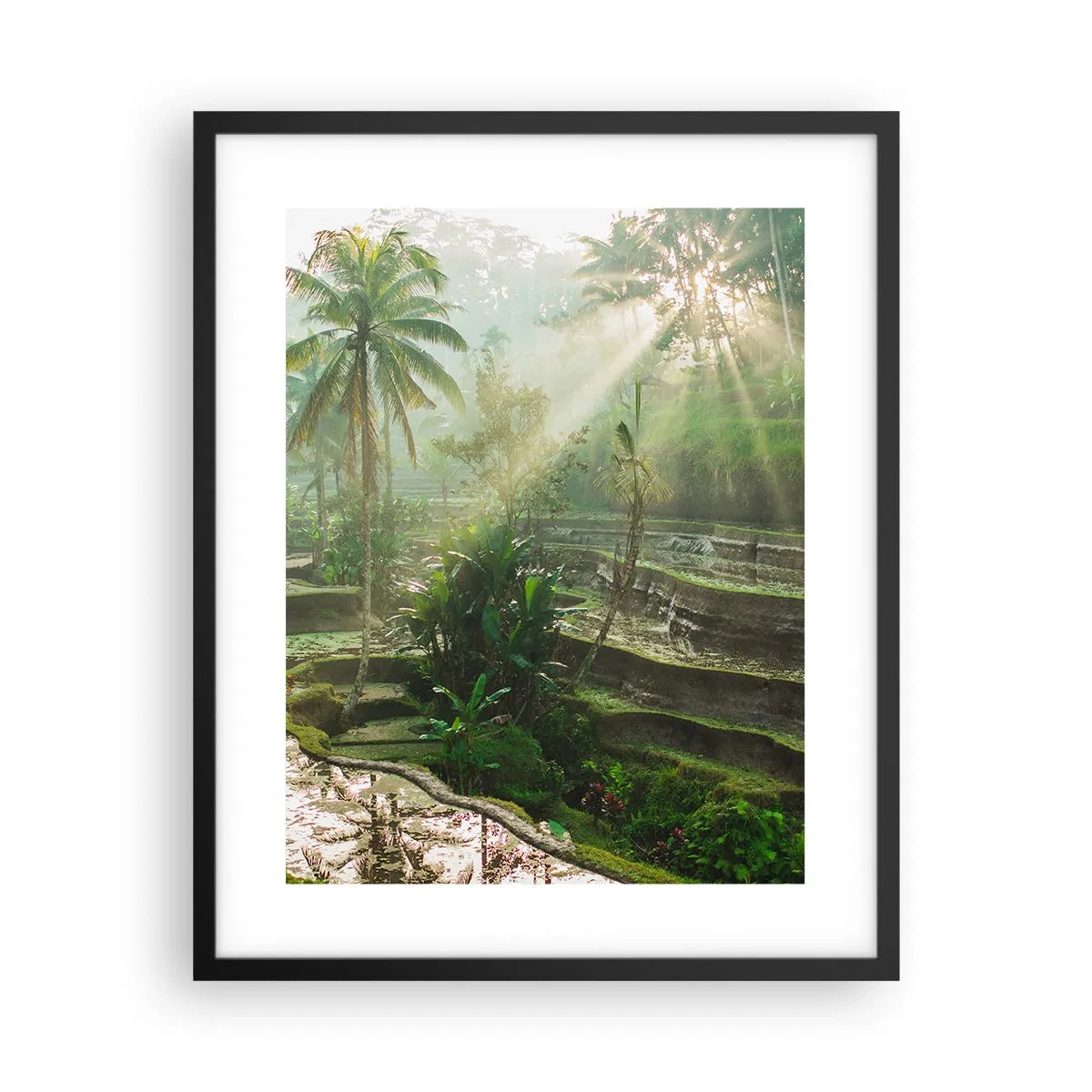 Poster in een zwarte lijst - Opgroeien in de zon - 40x50 cm