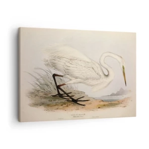 Schilderen op canvas - Tekening van een witte reiger tegen een natuurlijke landschapsachtergrond - 70x50cm - Dame op de biezen - Moderne wanddecoratie voor woonkamer en slaapkamer ARTTOR