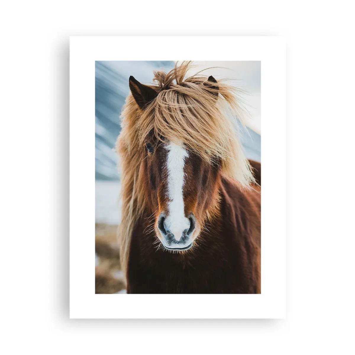 Poster - Voel jij je vrij? - 30x40 cm