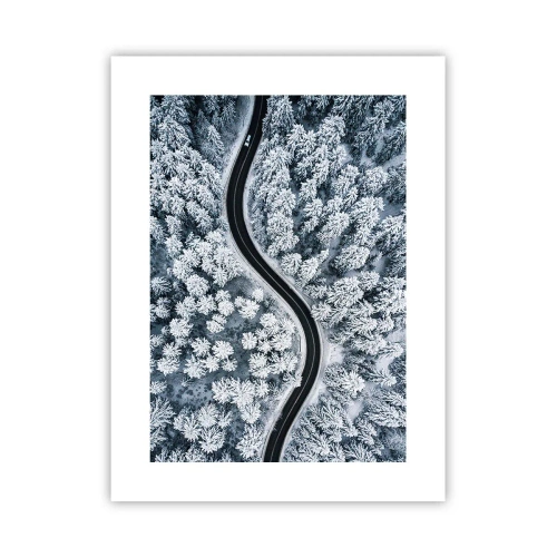 Poster - Door het winterbos - 30x40 cm