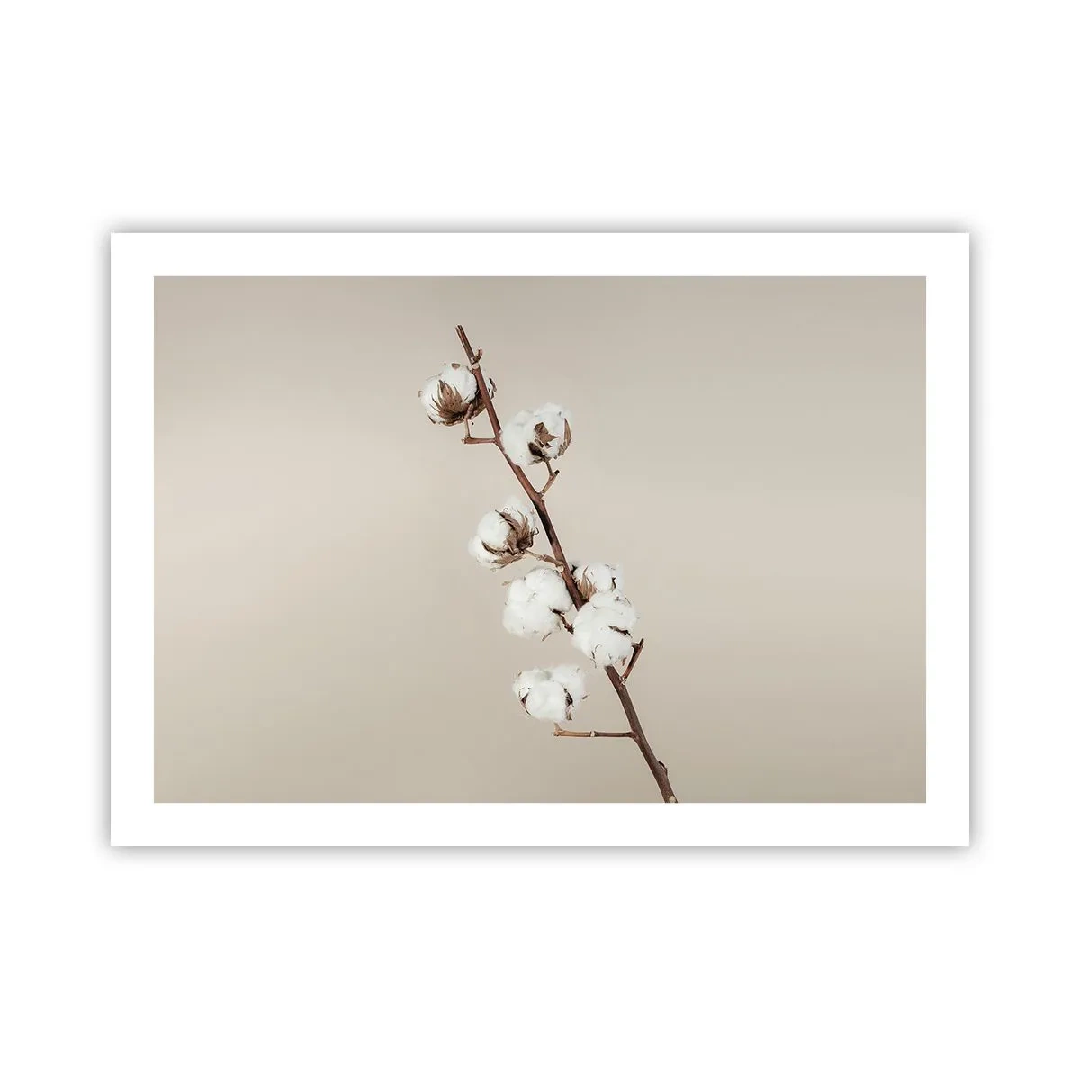 Poster - Aan de bron van zachtheid - 70x50 cm