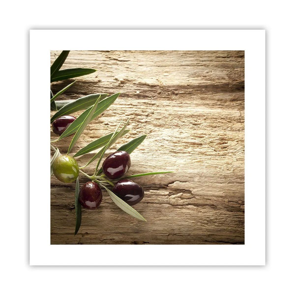 Poster - Rechtstreeks uit de natuur - 40x40 cm