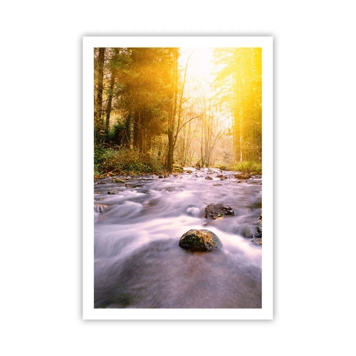 Poster - Malachiet in een zilveren en gouden lijst - 61x91 cm