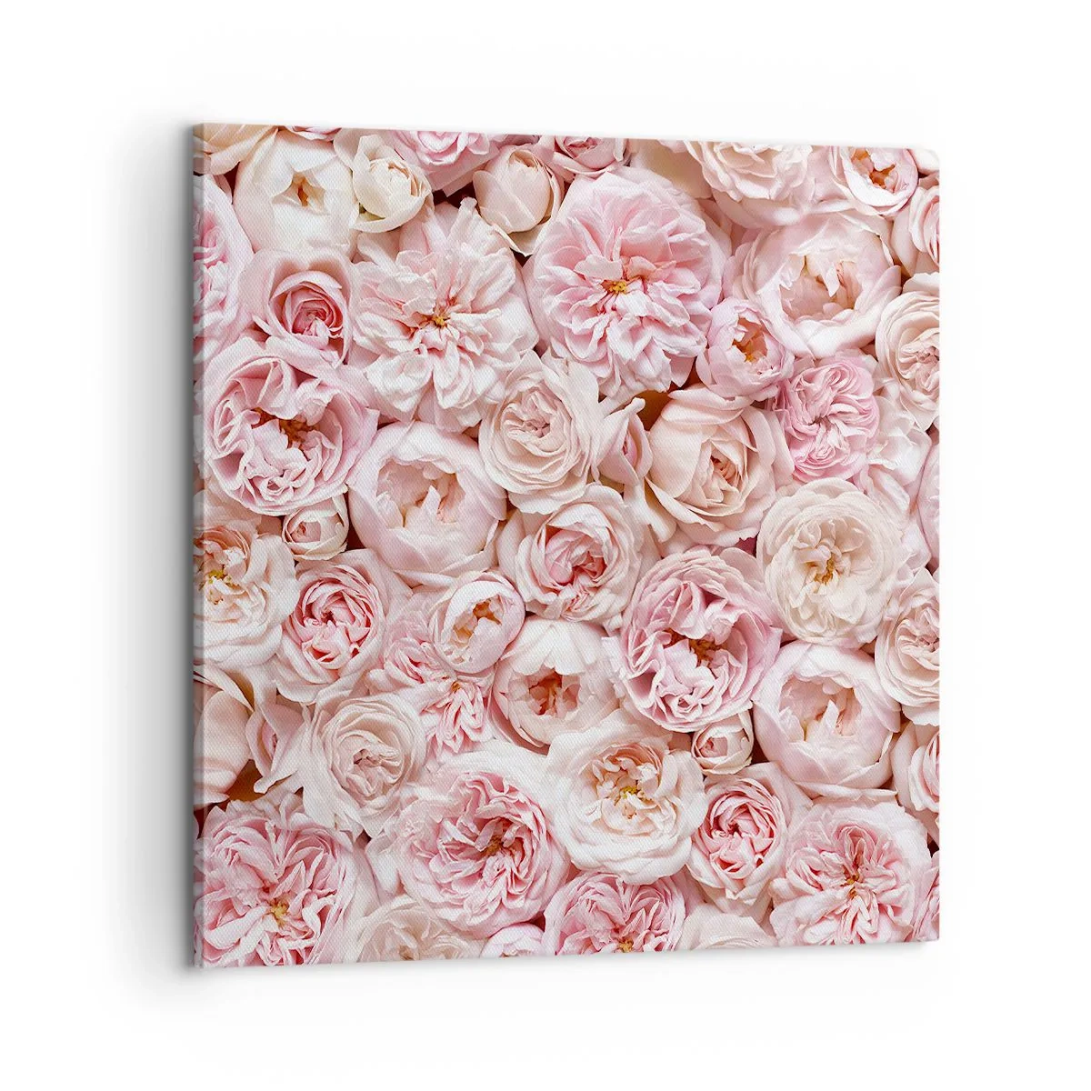 Schilderen op canvas - Een bed van rozen - 60x60 cm