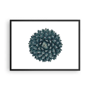 Poster in een zwarte lijst - De ster van de woestijn - 70x50 cm
