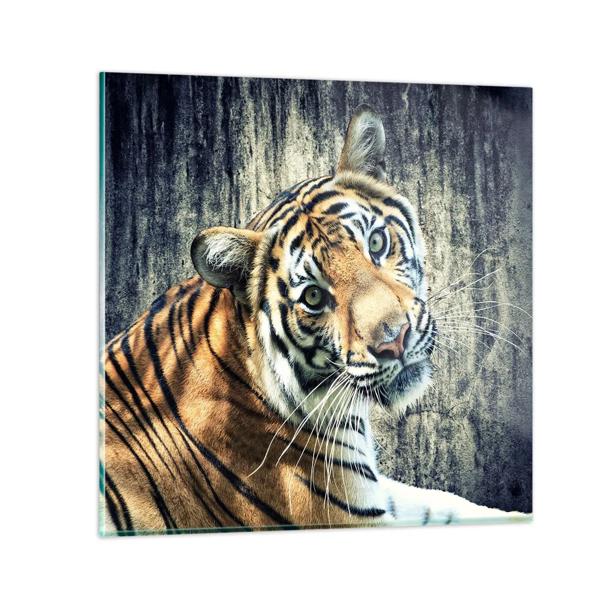 Schilderen op glas - Portret in stromen van licht - 60x60 cm