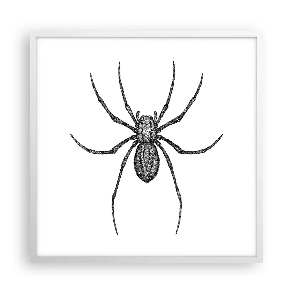 Poster in een witte lijst - Verontrustende precisie - 60x60 cm