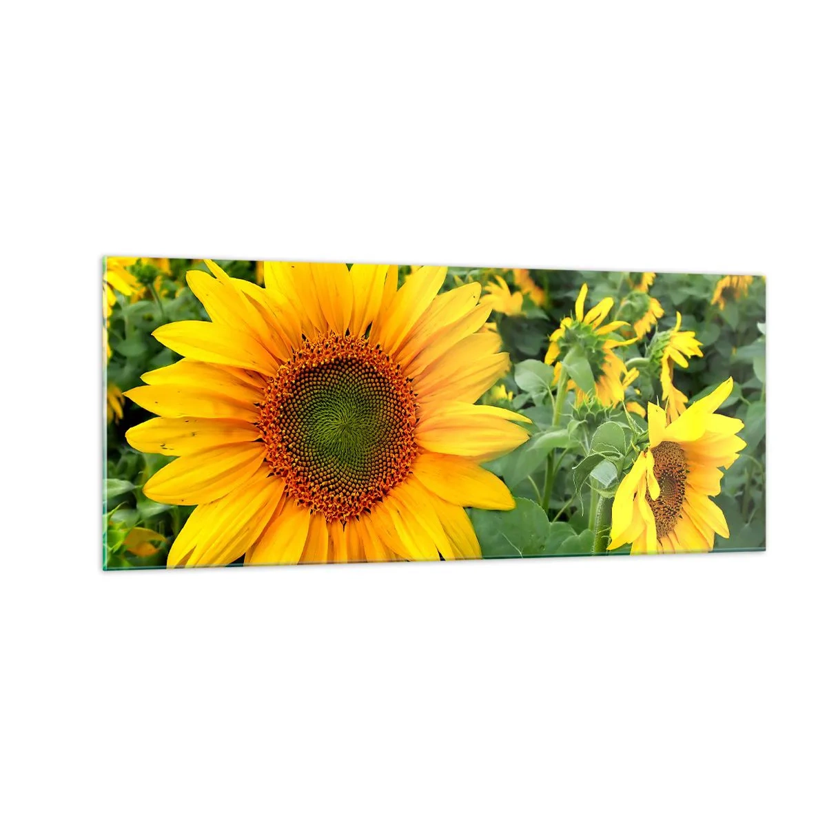 Schilderen op glas - Honderden zonnen vlamden op - 100x40 cm