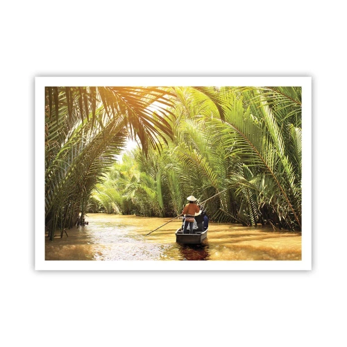 Poster - Een palmravijn langs - 100x70 cm