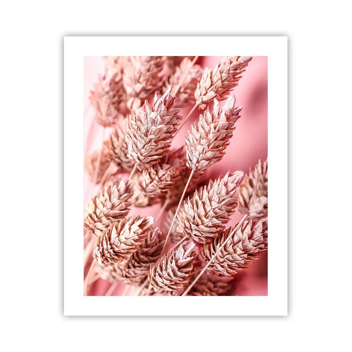 Poster - Een bloemencascade in roze - 40x50 cm