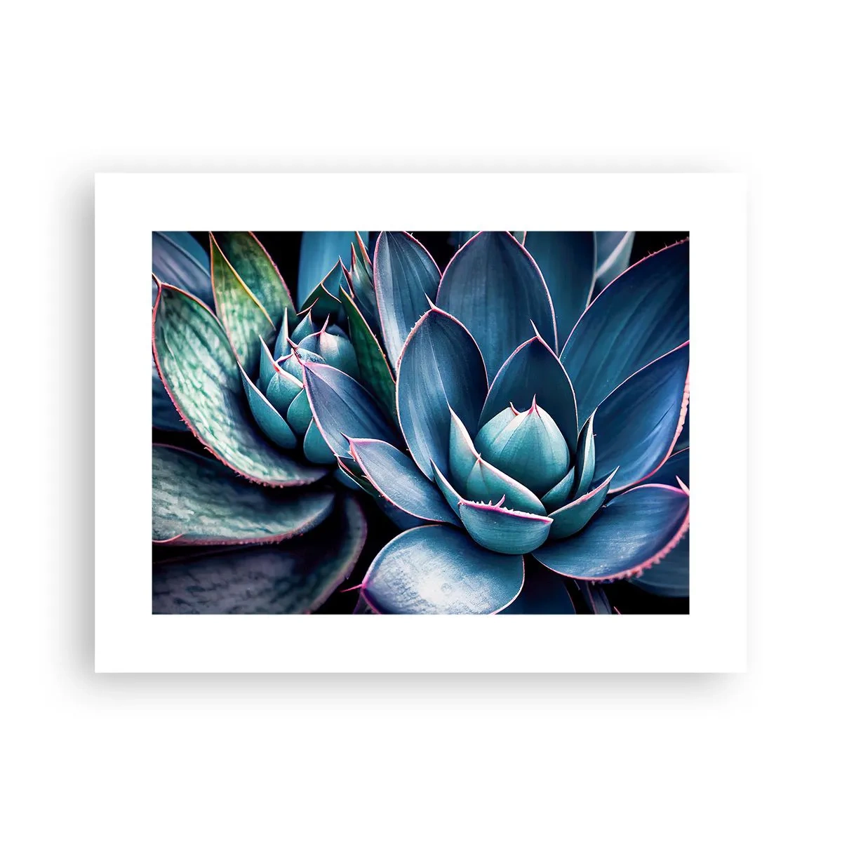 Poster - Levenskracht - 40x30 cm