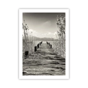 Poster - In de stilte van het gras - 50x70 cm