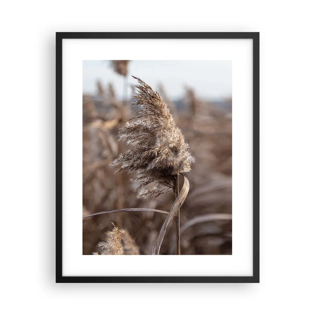 Poster in een zwarte lijst - Tijd om met de wind mee te gaan - 40x50 cm