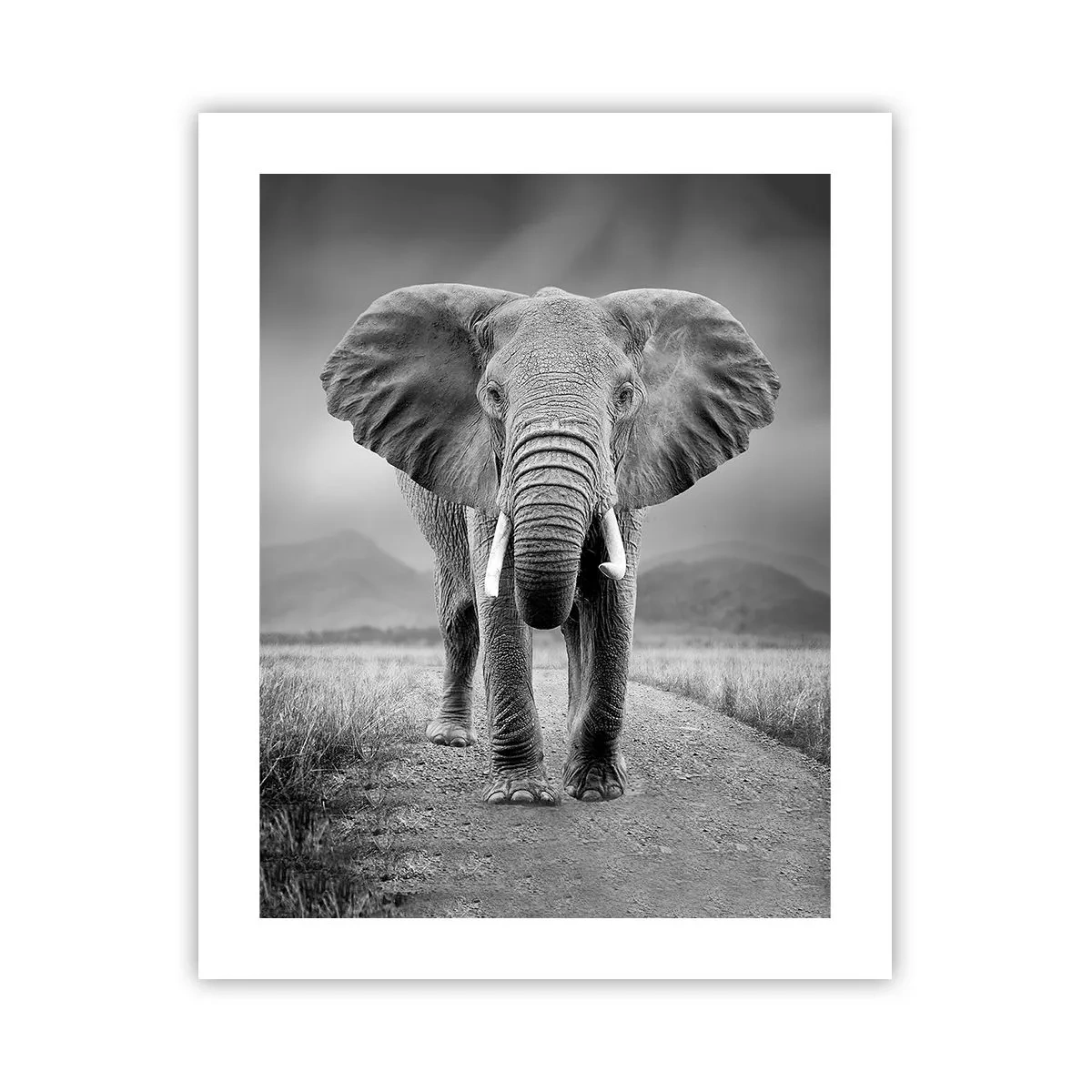 Poster - De gastheer heet je welkom - 40x50 cm