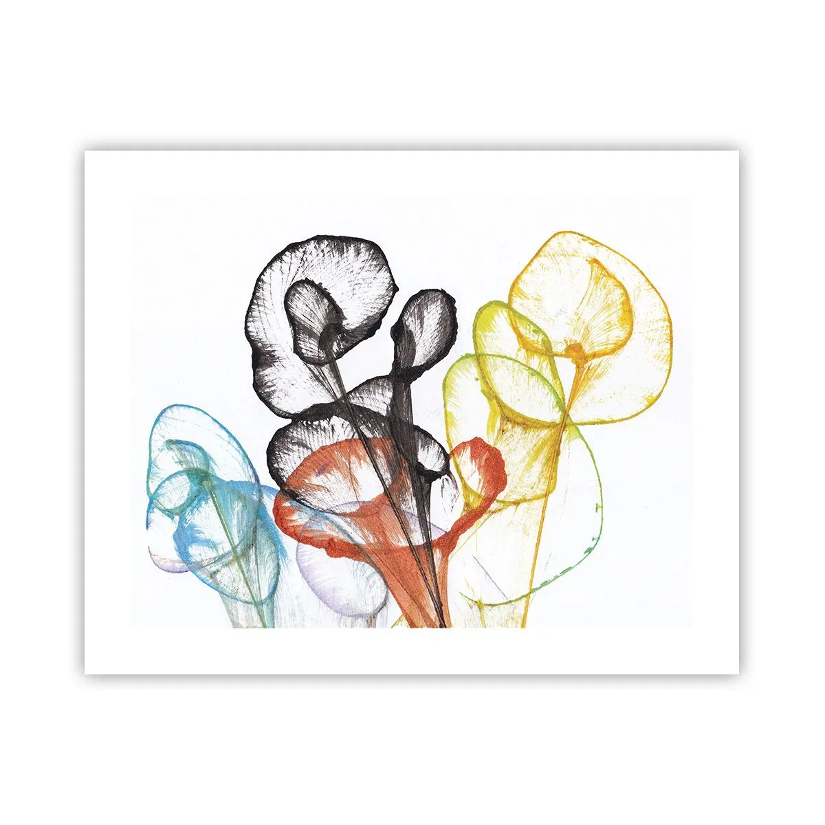 Poster - Bloemen met een ziel - 50x40 cm