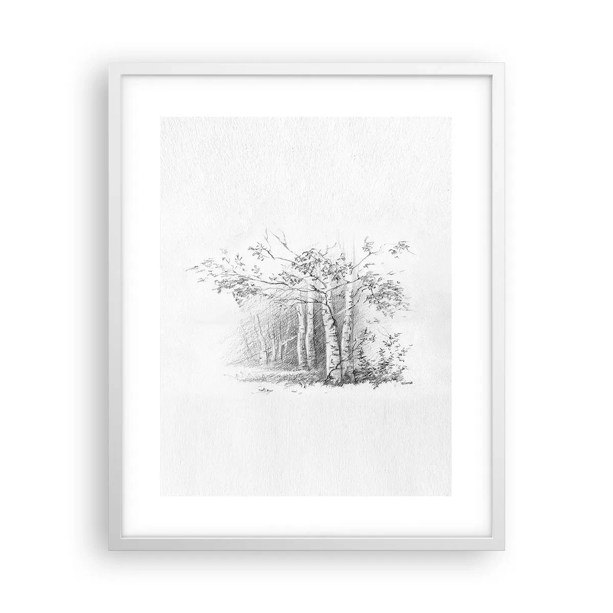 Poster in een witte lijst - Het licht van het berkenbos - 40x50 cm