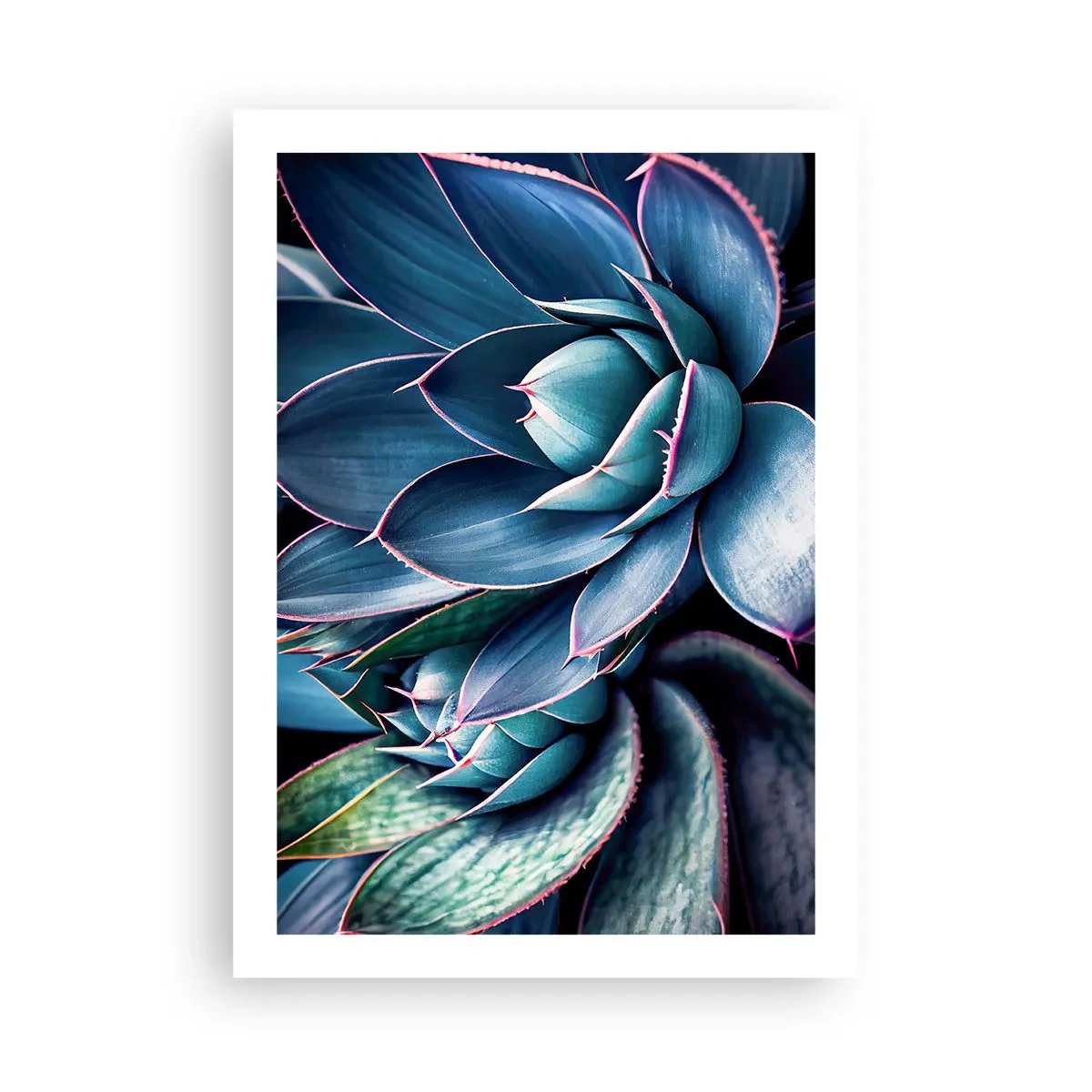 Poster - Levenskracht - 50x70 cm