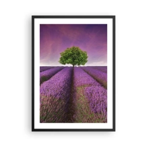 Poster in een zwarte lijst - Een lavendelveld met een eenzame boom tegen een paarse lucht - 50x70cm - Op lavendelvelden - Moderne wanddecoratie voor woonkamer en slaapkamer ARTTOR