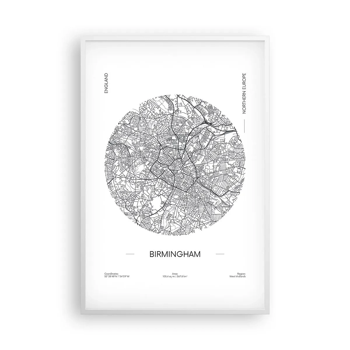 Poster in een witte lijst - Anatomie van Birmingham - 61x91 cm