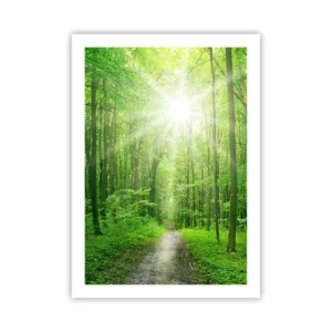 Poster - De groene kathedraal - 50x70 cm