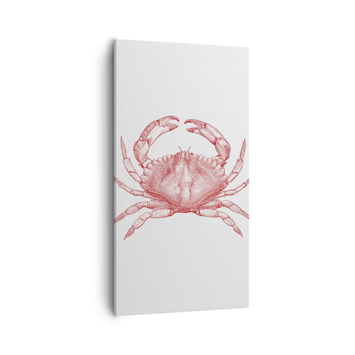 Schilderen op canvas - Krab der krabben - 55x100 cm