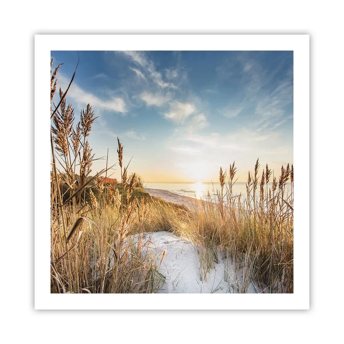 Poster - Noord strand - 60x60 cm
