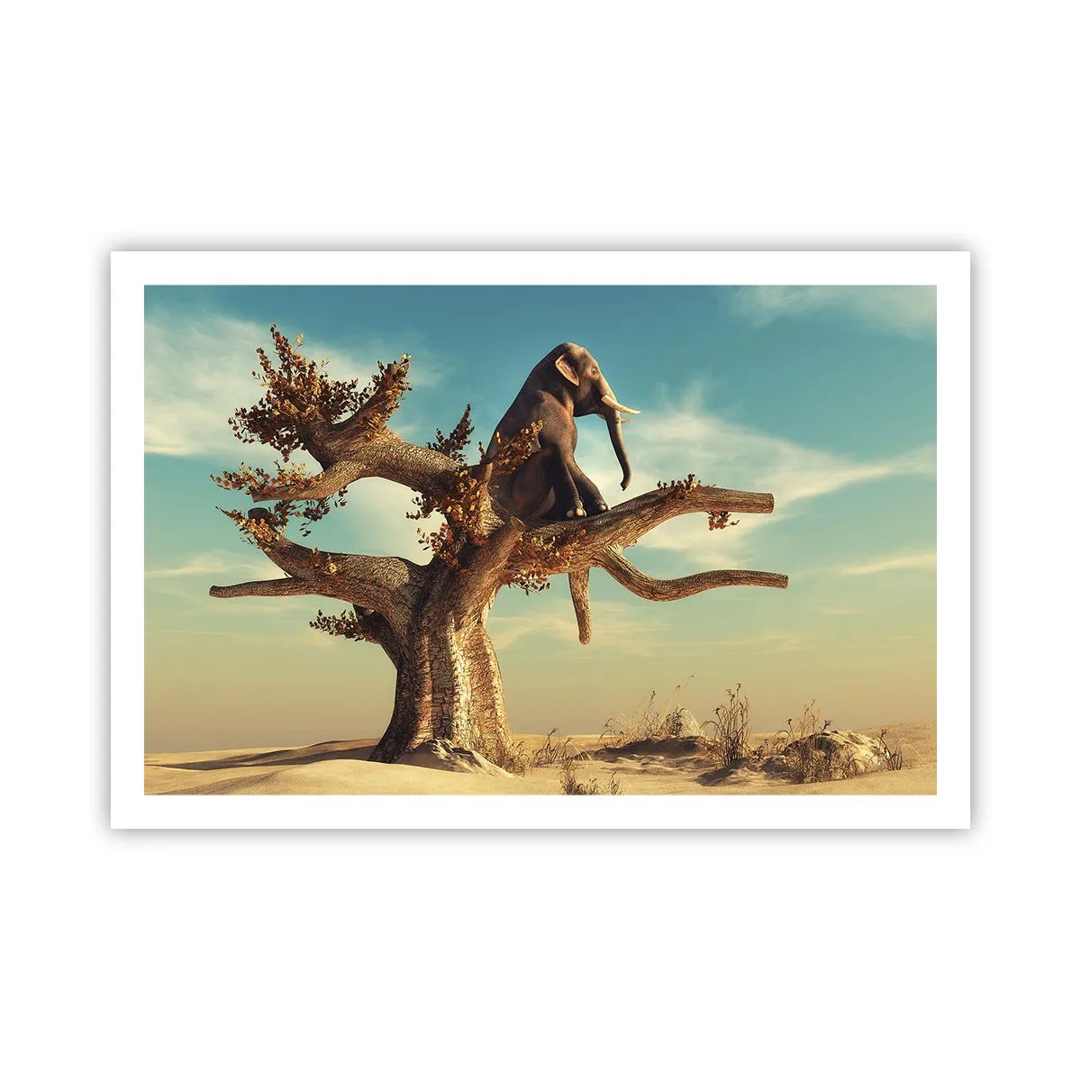 Poster - Een nieuw gezichtspunt - 91x61 cm